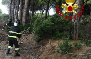 Il maltempo incide in tutta la Sardegna: si sommano allagamenti e alberi caduti