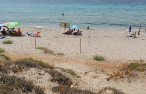 Il Sinis è dog friendly: confermate quattro aree per gli amanti dei cani