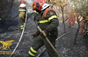 Ben 17 incendi in Sardegna: colpite Buddusò, Ottana e Teti