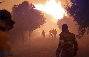 In piena campagna antincendio, i Forestali minacciano lo stato d’agitazione