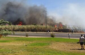 È una domenica bestiale: fiamme a Capoterra, Quartu, Elmas e Assemini