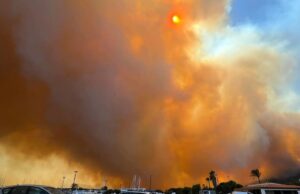 Incendio pazzesco a Posada: fiamme spinte dal vento, evacuate alcune case