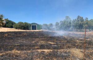 Incendi Sardegna, Coldiretti: centinaia di ettari a fuoco tra foraggi e agrumeti