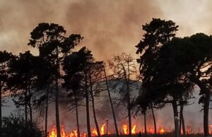 Incendi estivi: oltre duemila roghi in Sardegna, in calo del 23% in dieci anni