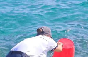 Turista in vacanza si mette a pescare ricci: sanzionato a Golfo Aranci