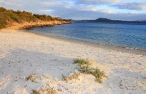 Valori fuori norma: stop a tuffi e bagni nella spiaggia di Pittulongu