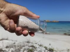 Olbia, nell’arco di 5 anni sequestrati 900 chili di sabbia e conchiglie rubate