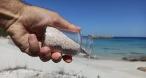 Olbia, nell’arco di 5 anni sequestrati 900 chili di sabbia e conchiglie rubate