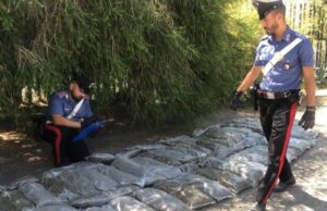 Marijuana per 500mila euro nascosta dentro una cisterna d’acqua