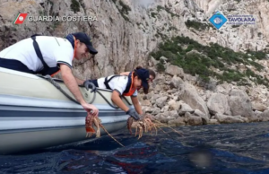 Olbia, sequestrati oltre 50 kg di vongole e aragoste senza etichetta