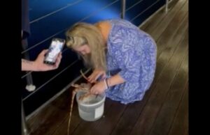 Turista svizzera compra l’aragosta in ristorante per liberarla in mare