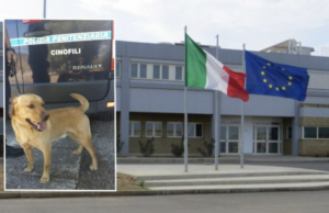 Tenta di portare l’hashish in carcere a Uta, scoperta grazie al fiuto di Leo