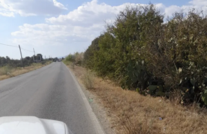 Assemini, scoperto incivile che buttava rifiuti a bordo strada