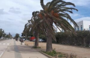 Tempesta in Sardegna, a Cagliari diversi danni per il forte vento