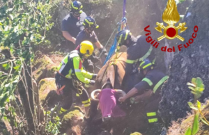 Macomer, una mucca cade in un dirupo: recuperata con un elicottero