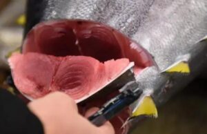 Cagliari, tonni ricongelati più volte: maxi sequestro in un ristorante orientale