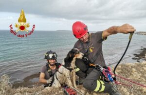 Cane scivola da una scogliera e cade in acqua: salvato dai vigili del fuoco