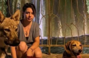 Il dramma dopo l’incidente in moto sulla 131: addio a Francesca Pitzalis