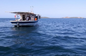 Indennizzi bloccati, pescatori sardi sul piede di guerra