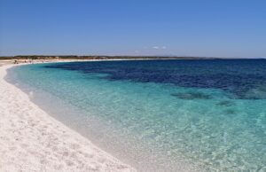 Dai cani in spiaggia al furto di sabbia: centinaia di multe nel Sinis
