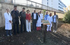 Aou di Sassari,  piantati tre alberi per il progetto “Un albero per la salute”