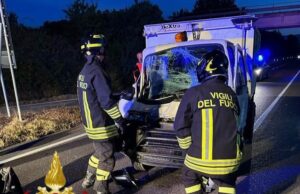Tempio, investe una mucca sulla statale: conducente finisce in ospedale