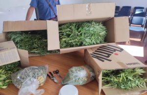 Nasconde 25 kg di marijuana a casa della nonna: arrestato ad Assemini