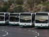 Telecamere e spray urticanti contro le aggressioni agli autisti dei bus