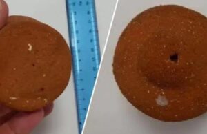 Ruba un reperto archeologico: turista fermato all’aeroporto di Olbia