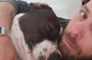 Morto in carcere a Oristano: la Procura dispone l’autopsia