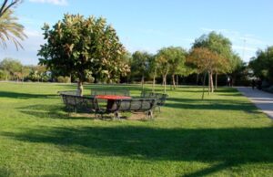 Legambiente: Cagliari al 16esimo posto tra le città più verdi d’Italia