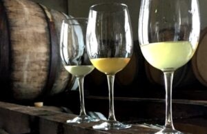 Vermentino di Gallura il più venduto in Italia e conquista gli americani