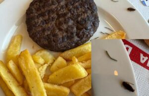 Sgradevole sorpresa sulla tratta Olbia – Genova: blatta nell’hamburger
