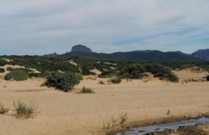 Ecoparco di Piscinas, Arbus perde 2 milioni: “Poteva essere attrattore turistico”