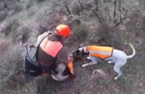 Il cane ha un infarto: il padrone lo rianima con massaggio e pastiglia