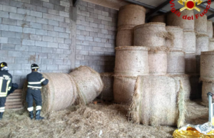 Grave incidente in una azienda agricola: dipendente schiacciato da una rotoballa