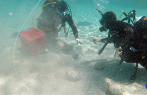 Eccezionale scoperta nel mare sardo: rinvenute 50 mila monete antiche