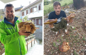 Autunno ricco di “grandi” porcini: ritrovamenti a Ulassai e Arbus