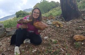 Ulassai, ancora porcini da record: il più grande sfiora i 3kg