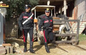 Fa passare il gregge in terreno coltivato: denunciato a Serdiana