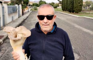 Dolianova, record tra i “cacciatori” di funghi: trovato uno da 2,20 kg