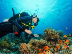 Un tuffo nel blu della Sardegna: i 3 luoghi più belli per fare le immersioni