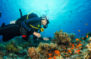 Un tuffo nel blu della Sardegna: i 3 luoghi più belli per fare le immersioni