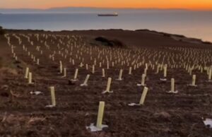 Forestazione urbana, oltre 3 milioni a Capoterra, Sarroch e Pula