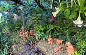 Cagliari, all’Orto botanico il presepe floreale