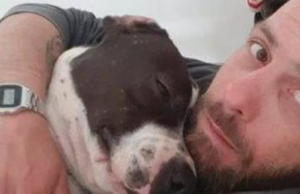 Caso Dal Corso, il PD chiede chiarezza al ministro Nordio