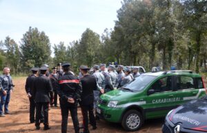 Si perde mentre cerca funghi: 83enne salvata a Guspini
