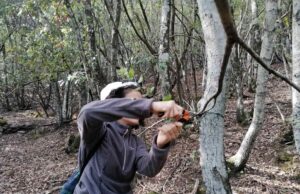 Bracconaggio, rimosse centinaia di trappole per uccelli in Sardegna