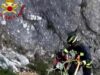 Due pecore in un dirupo, i Vigili del fuoco si calano per salvarle