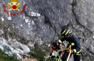 Due pecore in un dirupo, i Vigili del fuoco si calano per salvarle